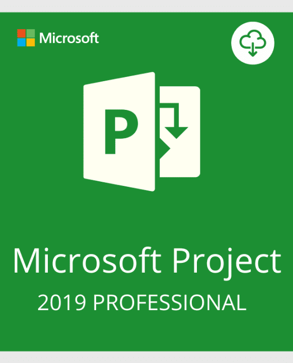 Project-Professional-2019
